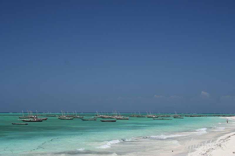 Mud Maps Africa Zanzibar 1835